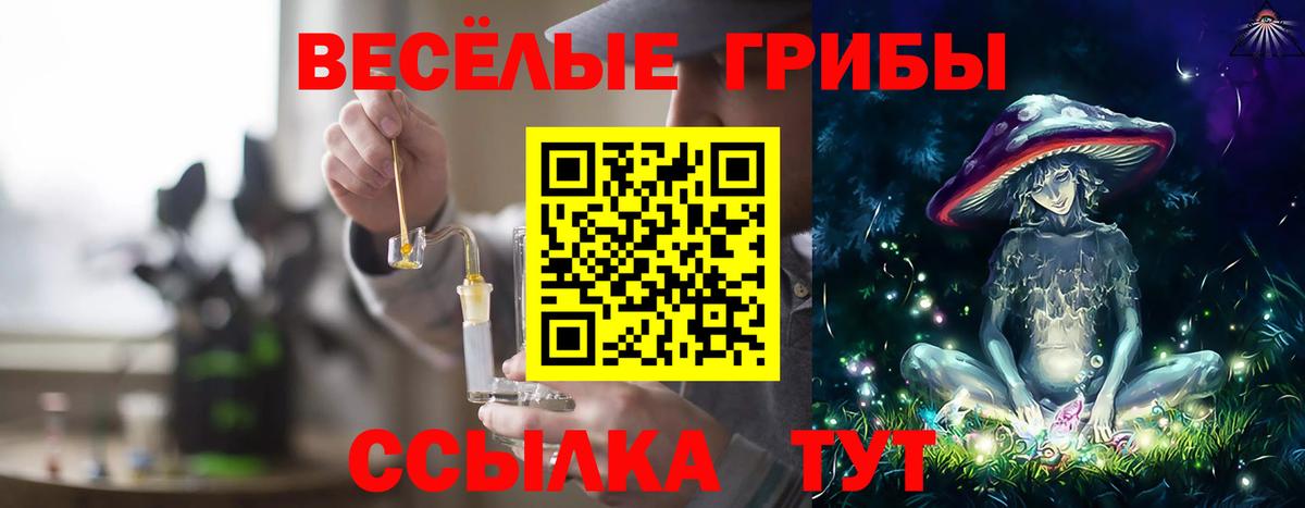 Галлюциногенные грибы MAGIC MUSHROOMS  Вход с VPN  Чебаркуль 