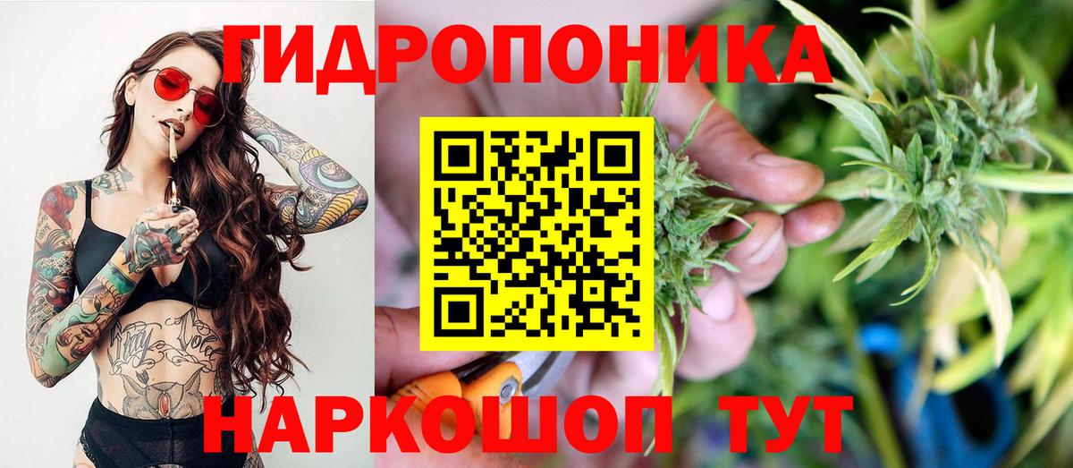 Каннабис планчик  Конопля конопля  Вход с VPN  Чебаркуль 